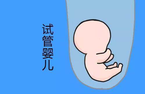 染色体易位案例